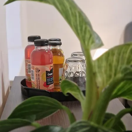 Rodinny Dum U Rybnika V Blizkosti Olomouce וילה *